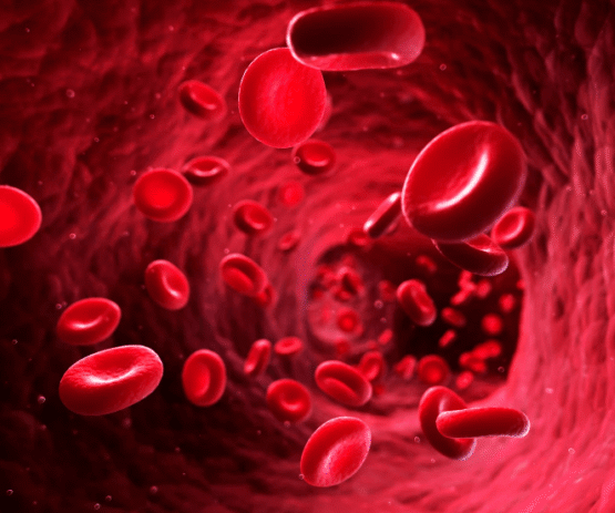 private blood screening {{brizy_dc_image_alt imageSrc=