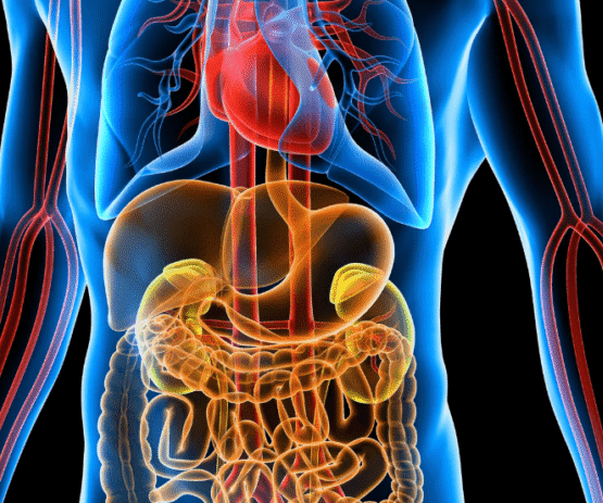 testing for leaky gut, gut bio, sibo and cancer markers {{brizy_dc_image_alt imageSrc=